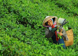 Discover these coffee wet mill makeovers on the cheap